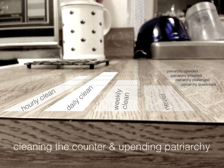 Bar chart superimposed over countertop, titled: cleaning the counter & upending patriarchy. First (left) bar is second highest, reaching 'patriarchy smashed' label. Second bar is highest, reaching 'patriarchy upended' label. Third bar is third in height, reaching 'patriarchy challenged' label. Last bar is lowest, reaching 'patriarchy questioned' label.